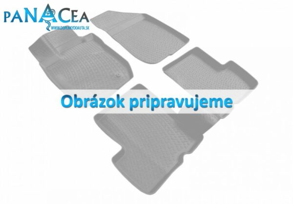 Autorohože gumové so zvýšeným okrajom Lexus GS III 2005 - 2012