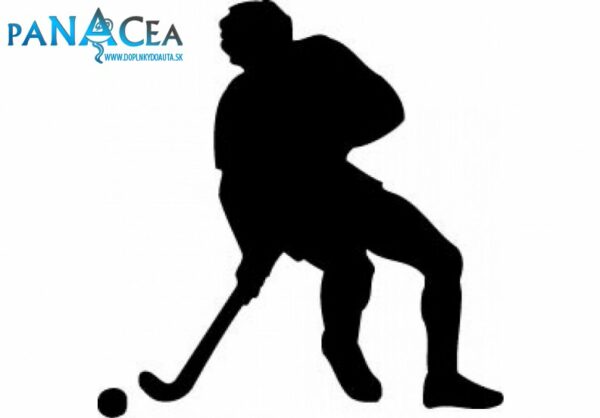 Samolepka hokejista pozemný black (12 cm) (C4)