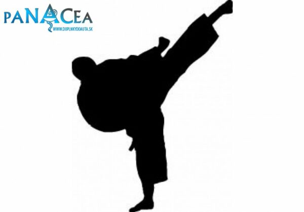 Samolepka Karatista black (12 cm) (C4)