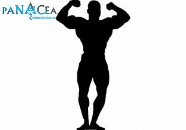 Samolepka Kulturista black (12 cm) (C4)