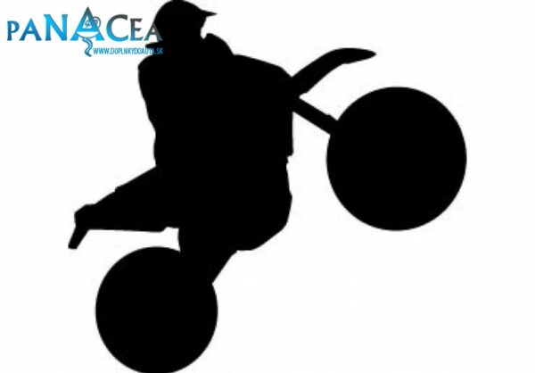 Samolepka Motorbike black (12 cm) (C4)