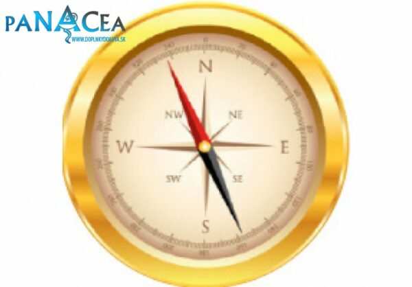 Samolepka na stredy kolies živicová 4ks - COMPASS (C13)