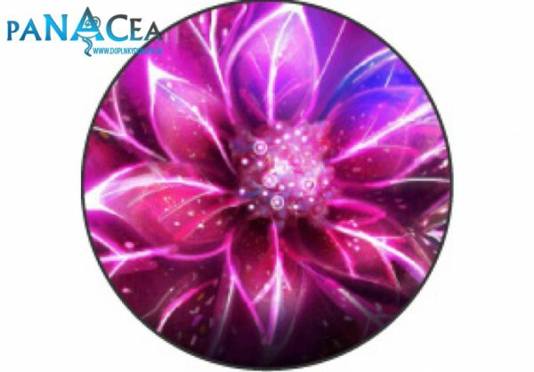 Samolepka na stredy kolies živicová 4ks - ORCHIDEA (C13)