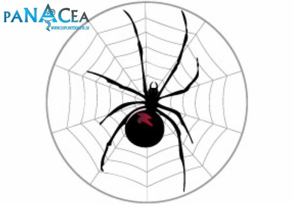 Samolepka na stredy kolies živicová 4ks - SPIDER (C13)