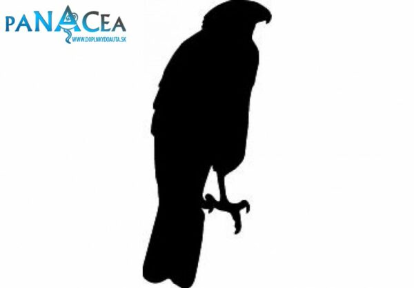 Samolepka Orol black (12 cm) (C4)