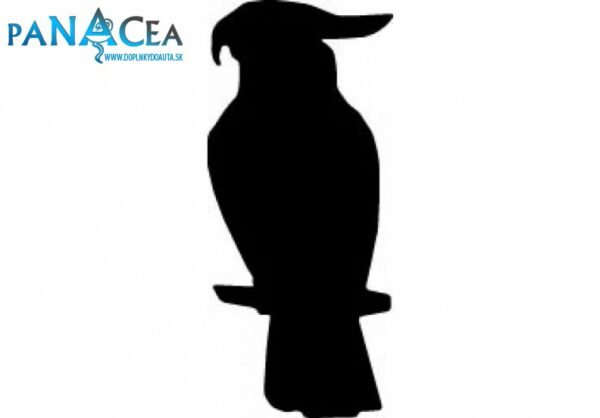 Samolepka Papagáj black (12 cm) (C4)