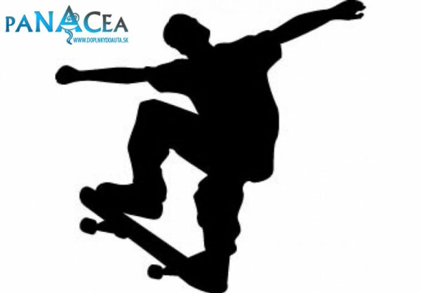 Samolepka Skateboardista black (12 cm) (C4)