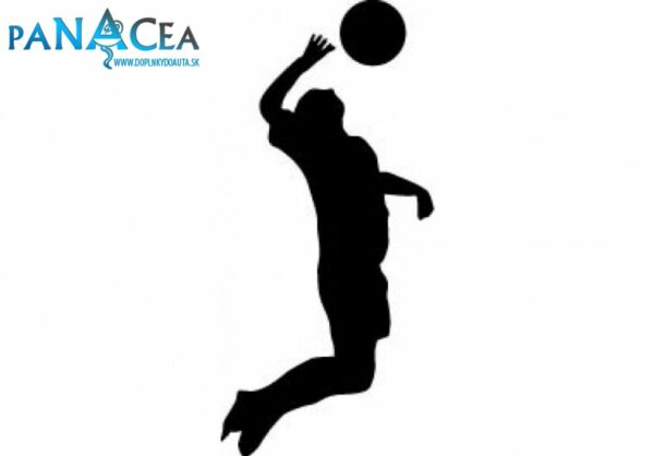 Samolepka Volejbal black (12 cm) (C4)