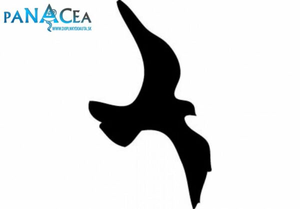 Samolepka Vták black (12 cm) (C4)