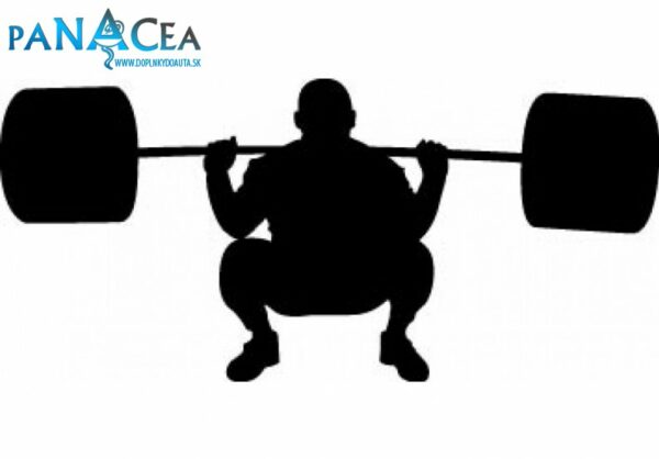 Samolepka Vzpierač black (12 cm) (C4)